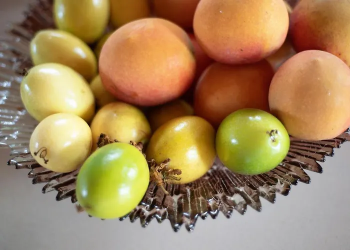 Vinas 2 Икод-де-лос-Винос