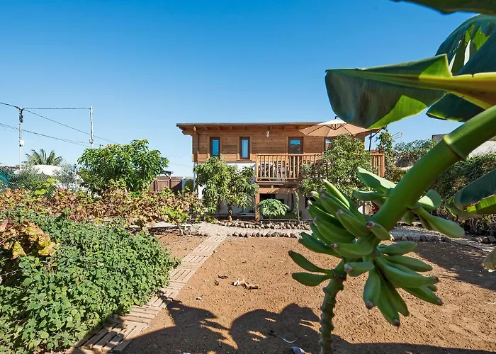 Viñas 2 * Icod De Los Vinos