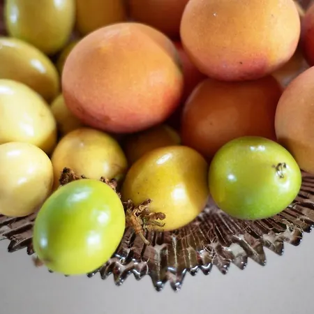 Vinas 2 Icod De Los Vinos